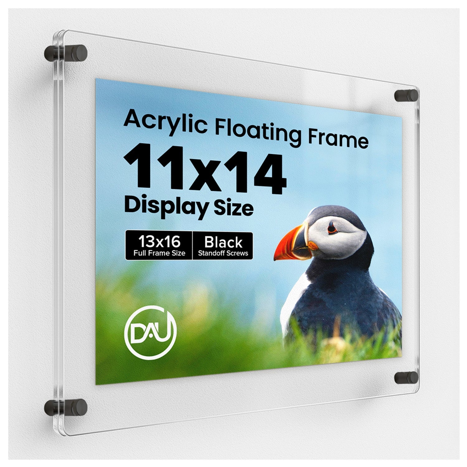 Floating Frames | Clear Acrylic Picture Frames | Distinct and Unique