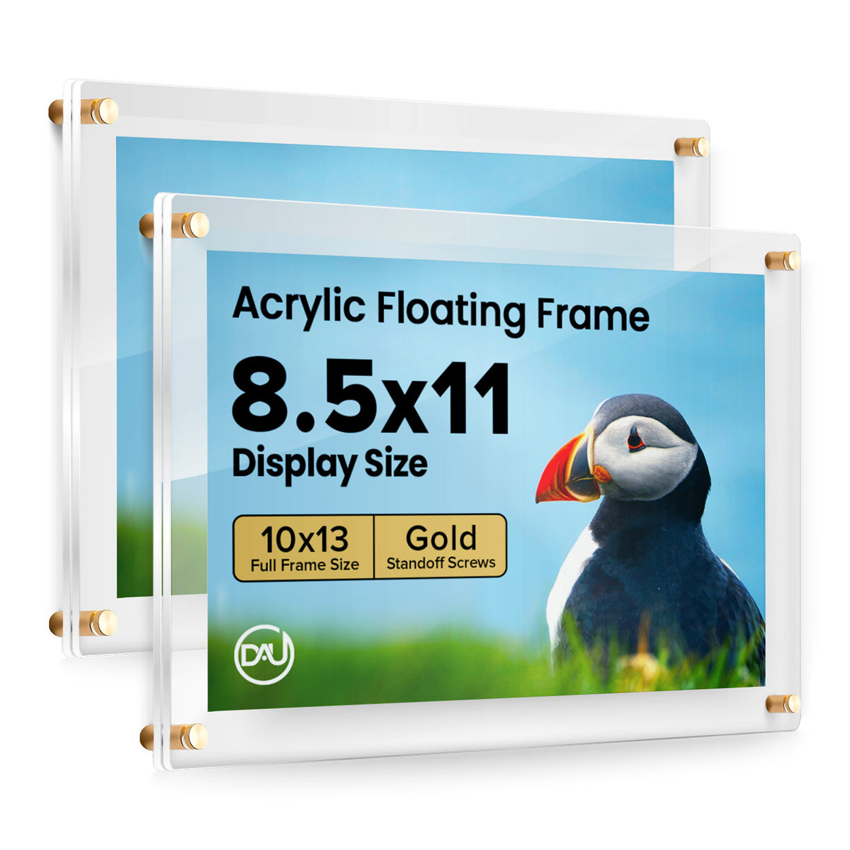 2027179D - 8.5" x 11" / Gold / pack 2
