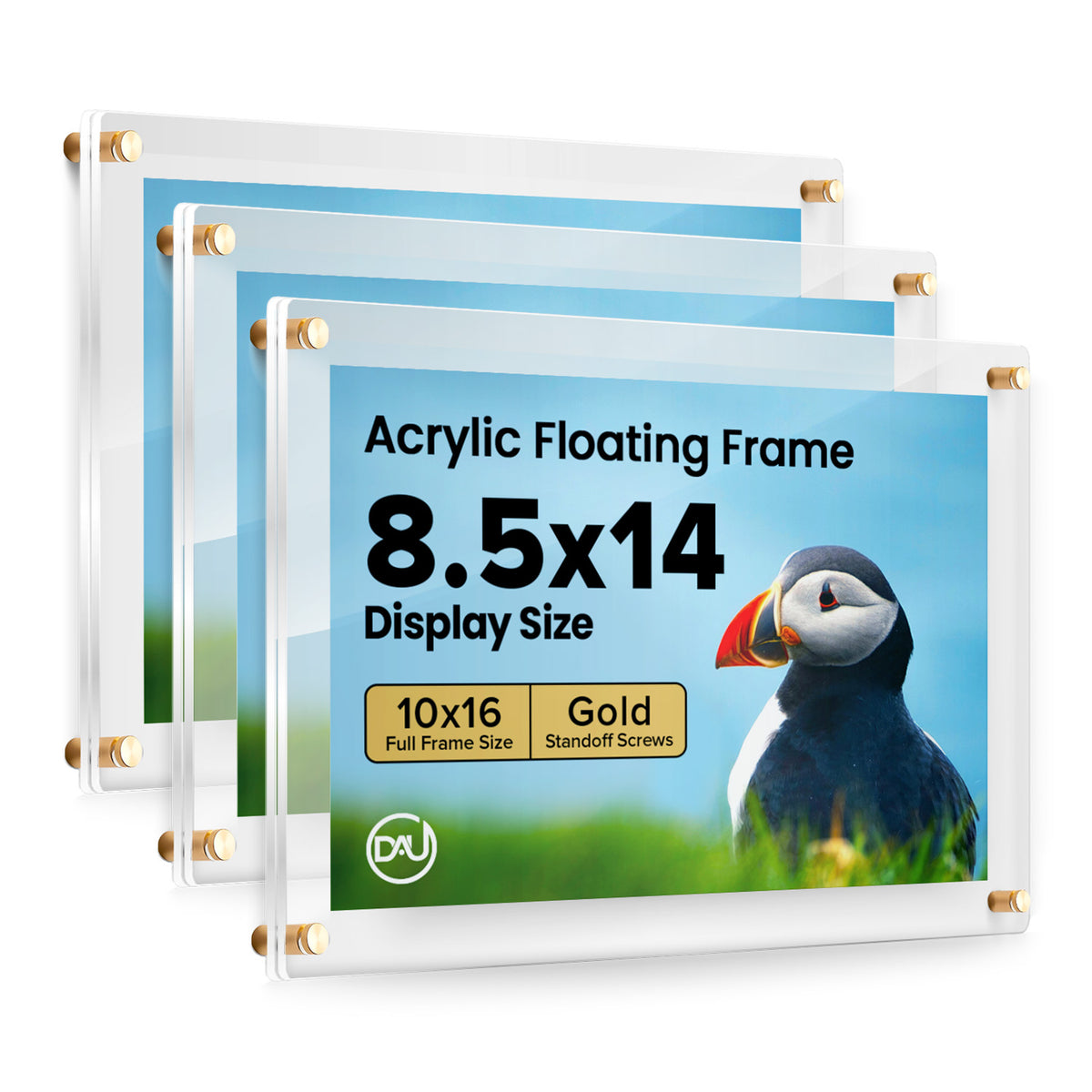 2027264D - 8.5" x 14" / Gold / pack 3