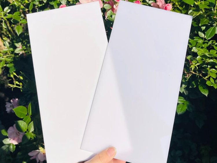 Two white acrylic sheets held up in front of rose bushes